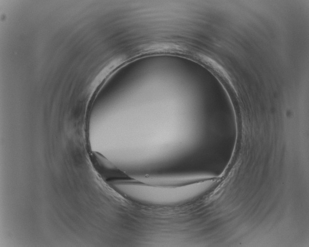 X0000077391330200611031952