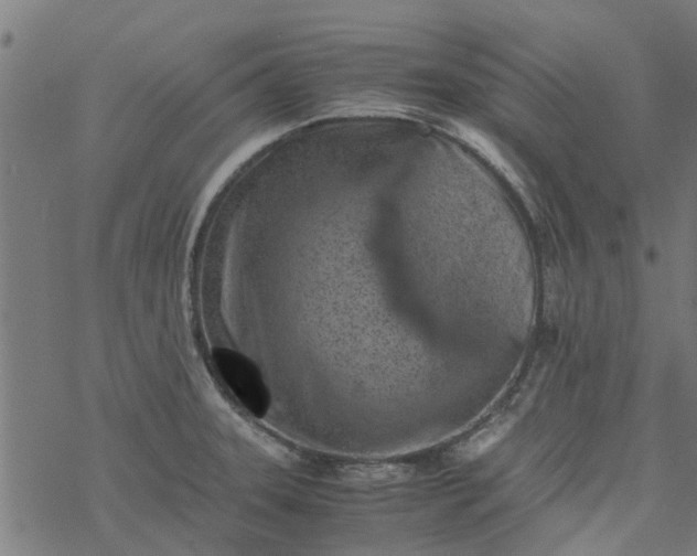 X0000077391331200611031952