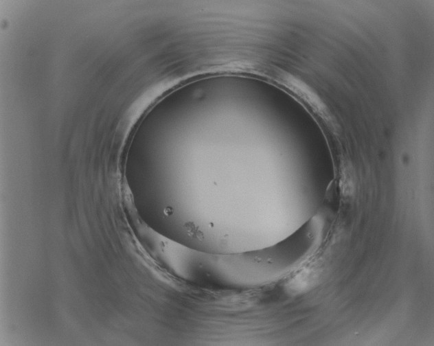 X0000077391332200611031952