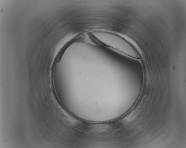 X0000077391333200611031952