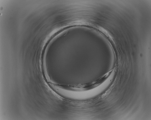 X0000077391334200611031952