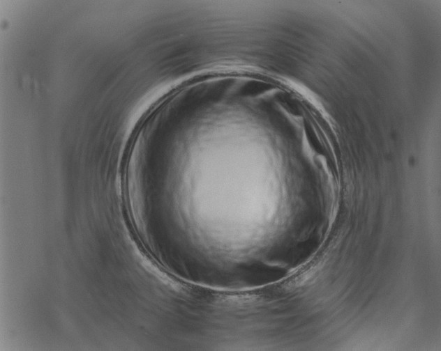 X0000077391335200611031952