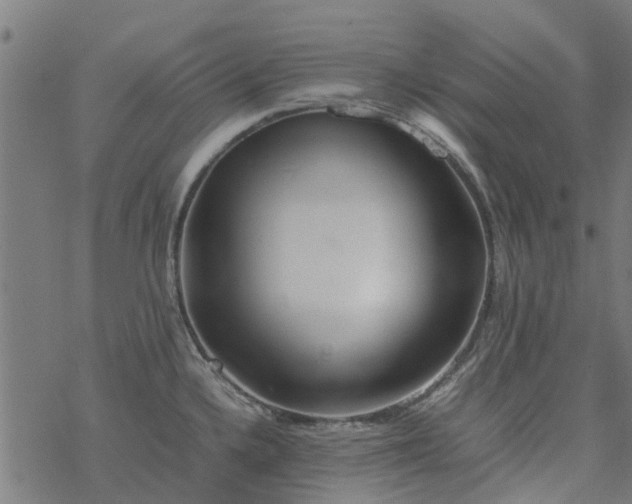 X0000077391336200611031952