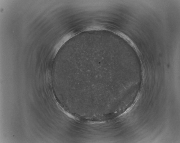 X0000077391337200611031952