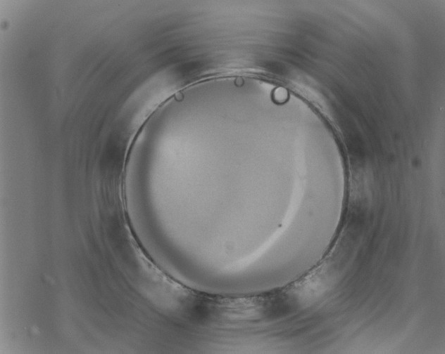 X0000077391338200611031952