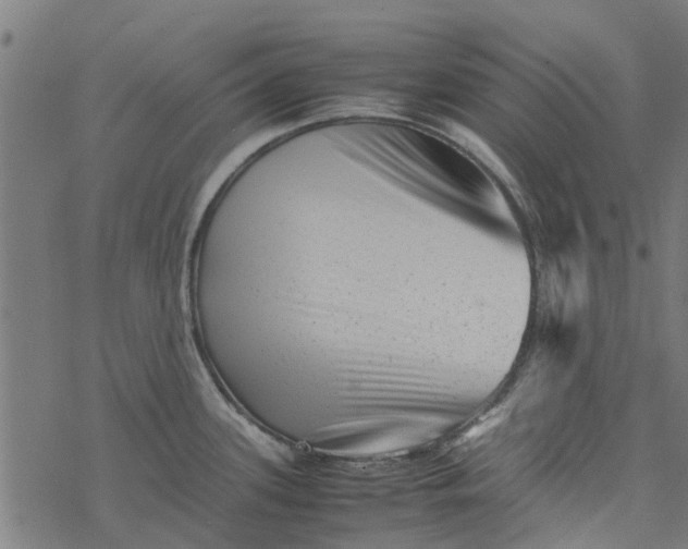 X0000077391339200611031952