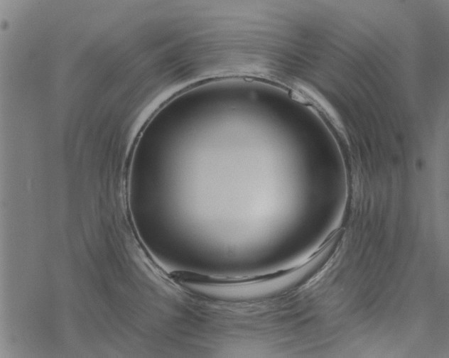 X0000077391340200611031952