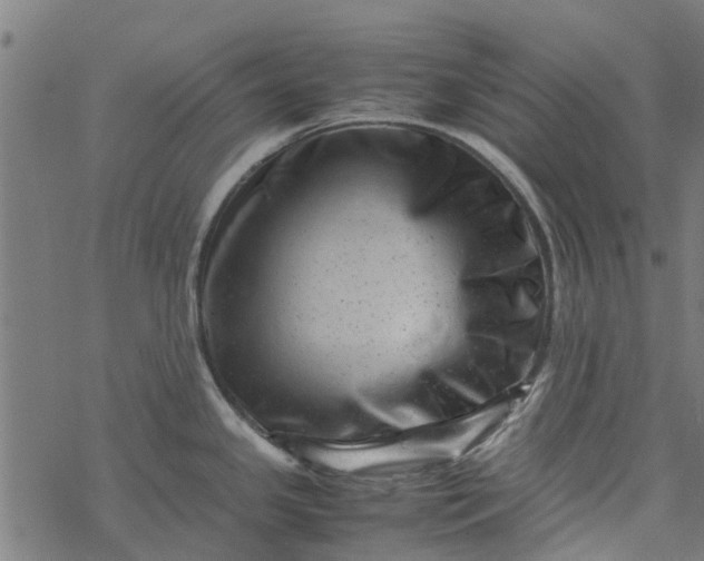 X0000077391341200611031952