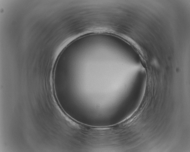 X0000077391343200611031952