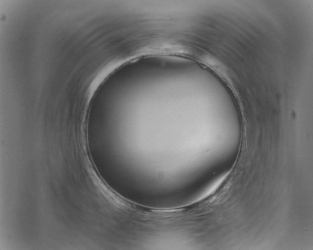 X0000077391344200611031952