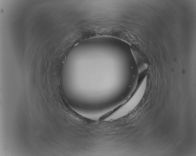 X0000077391345200611031951