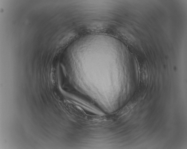 X0000077391346200611031951