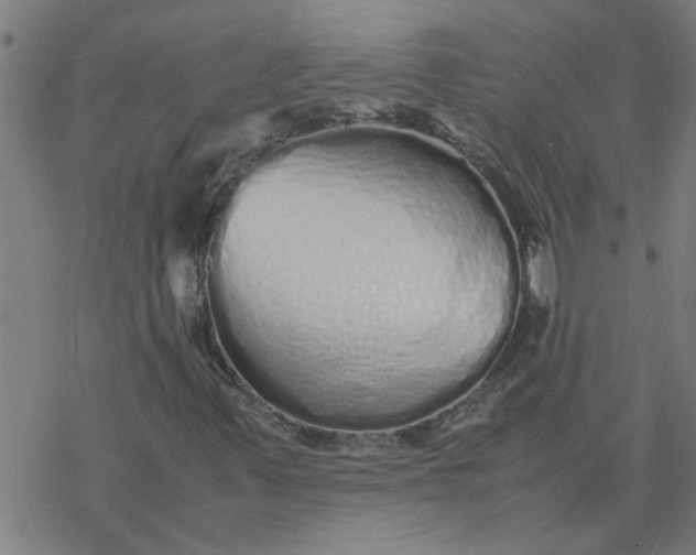 X0000077391347200611031951