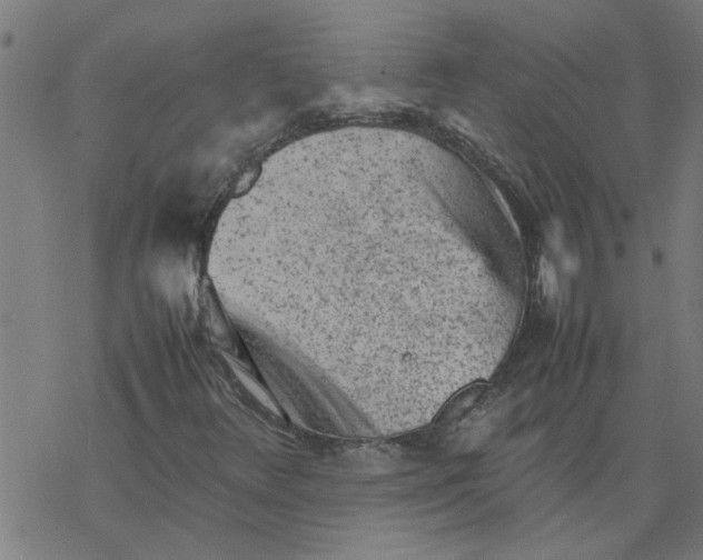 X0000077391348200611031951