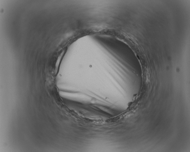 X0000077391349200611031951