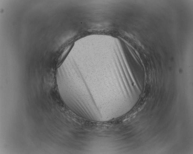 X0000077391350200611031951