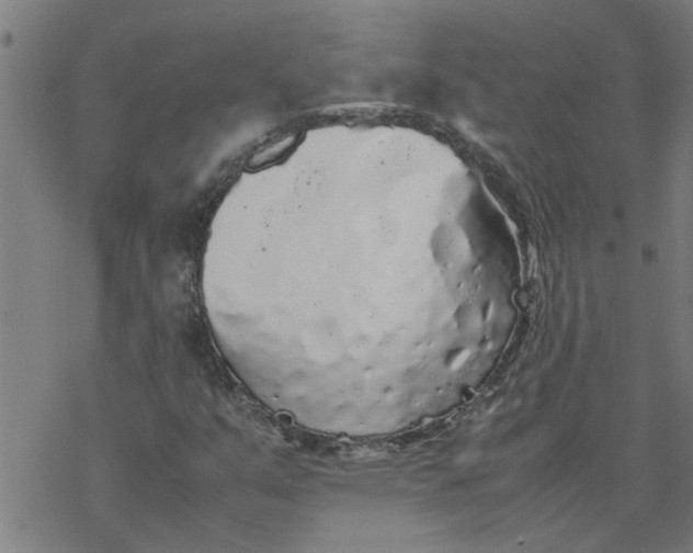 X0000077391351200611031951