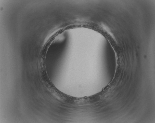 X0000077391352200611031951