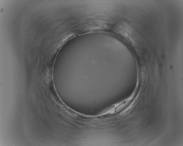 X0000077391353200611031951