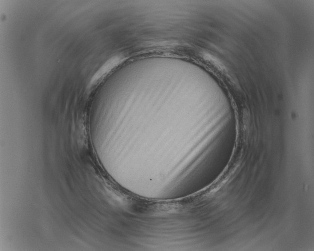 X0000077391354200611031951