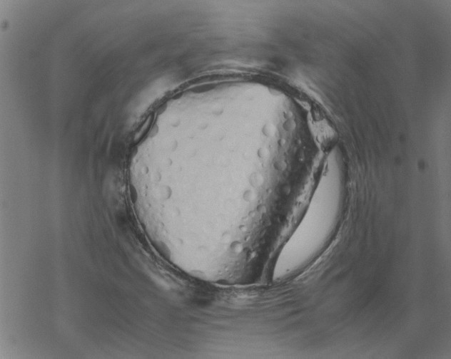 X0000077391355200611031951