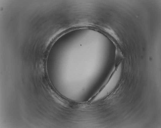 X0000077391356200611031951