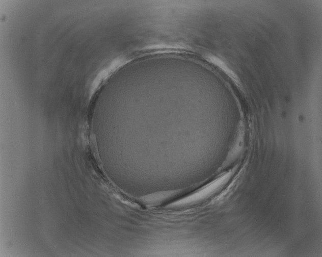 X0000077391357200611031951