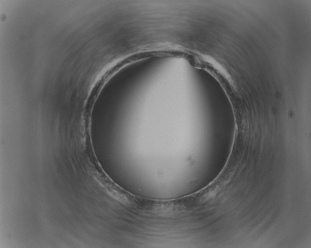 X0000077391364200611031951