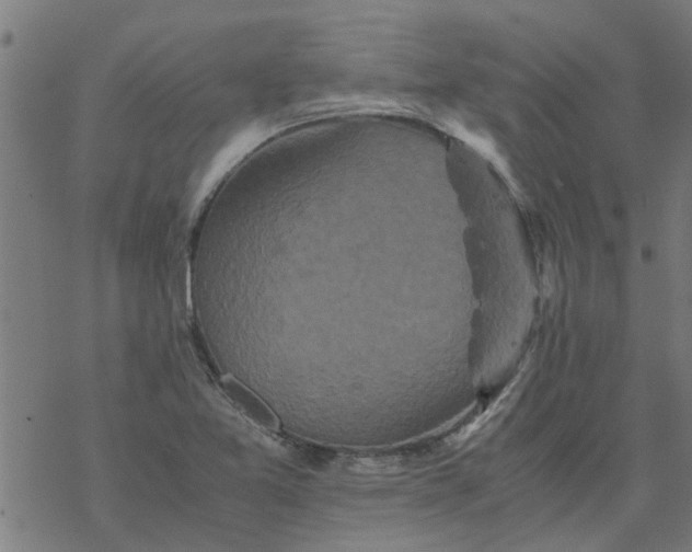 X0000077391365200611031951