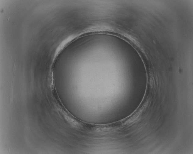 X0000077391366200611031951