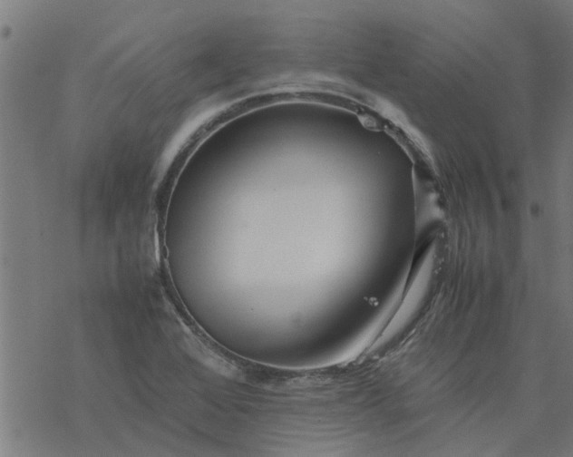 X0000077391368200611031951