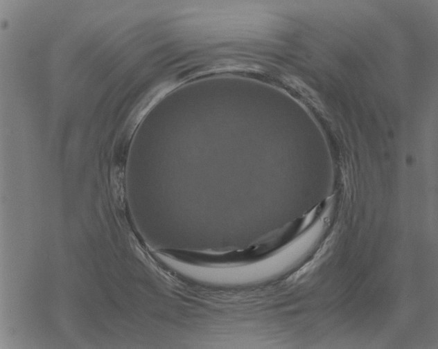 X0000077391369200611031951