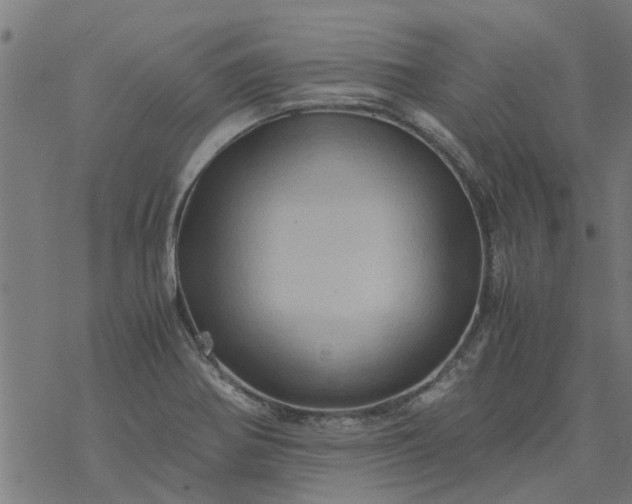 X0000077391370200611031951