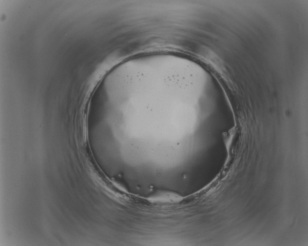 X0000077391371200611031951