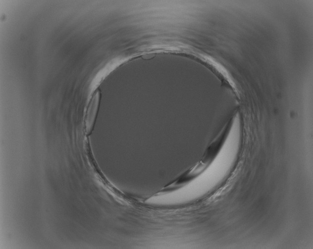 X0000077391373200611031951