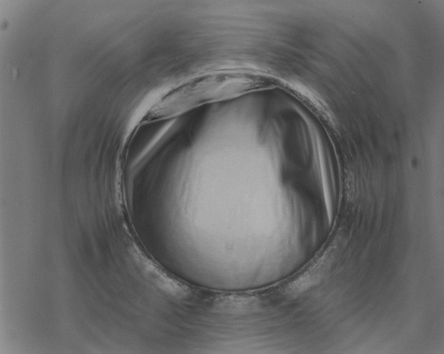 X0000077391374200611031951