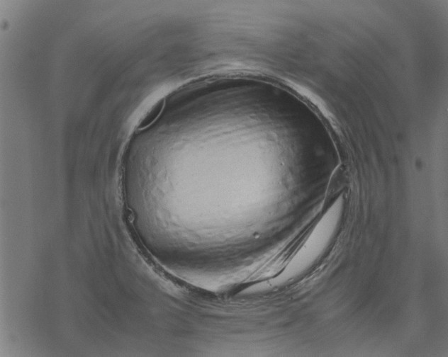 X0000077391375200611031951