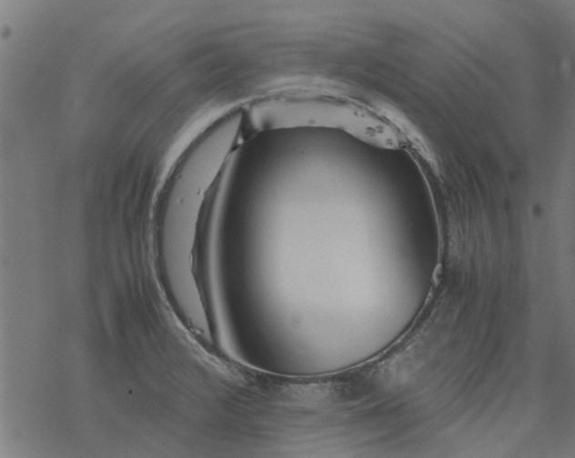 X0000077391376200611031951