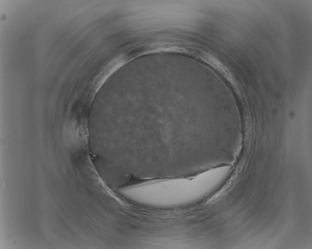 X0000077391377200611031951