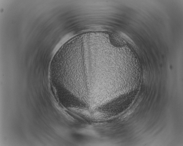 X0000077391378200611031951