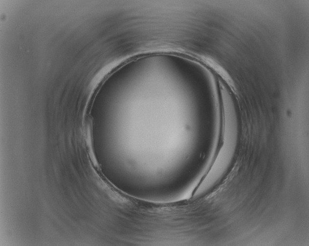 X0000077391380200611031951