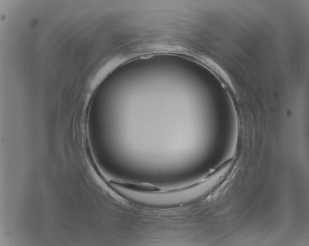 X0000077391381200611031950