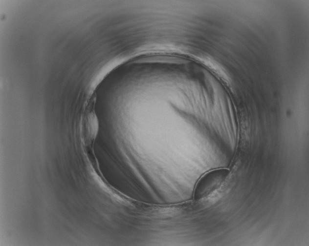 X0000077391382200611031950