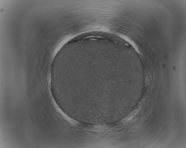 X0000077391383200611031950