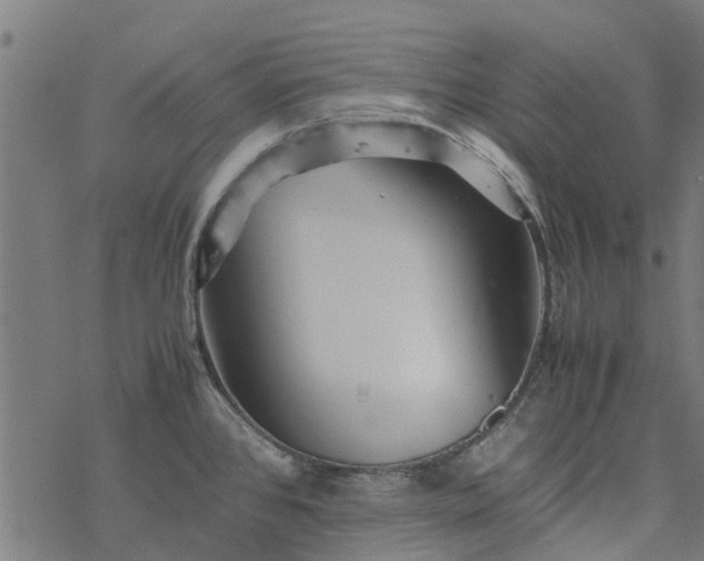 X0000077391384200611031950