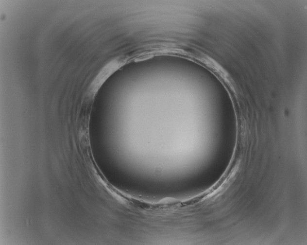 X0000077391385200611031950