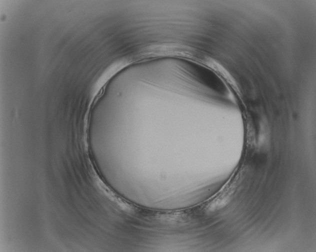 X0000077391386200611031950