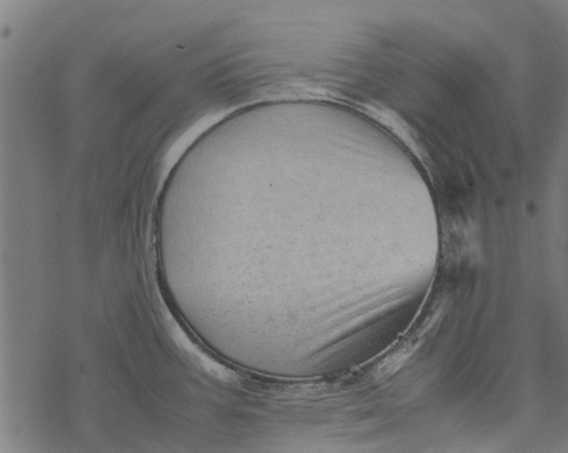 X0000077391387200611031950