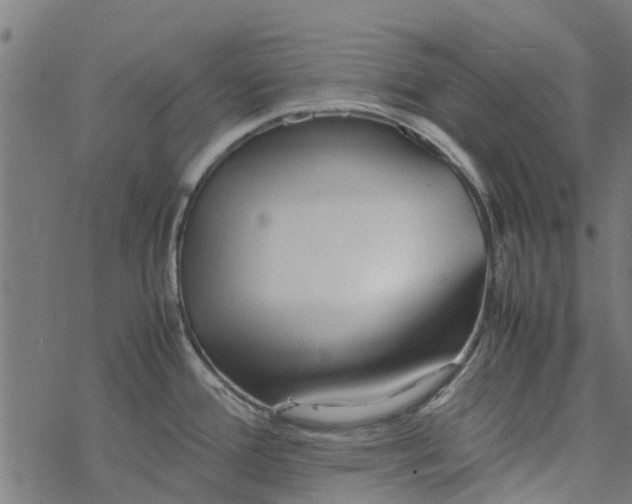 X0000077391388200611031950