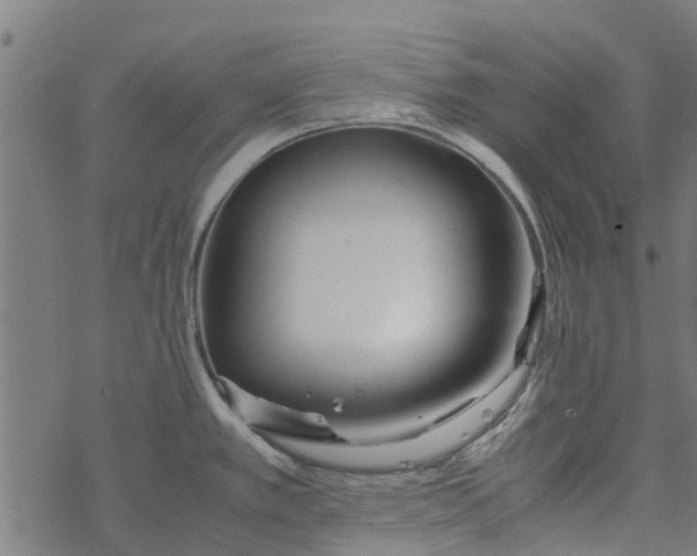 X0000077391389200611031950